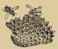Download Vintage Honeycomb And Bees Digital Art By Carrie Martin