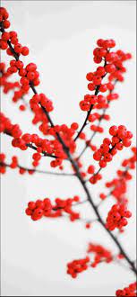 See more ideas about red aesthetic, pastel red, red. Iphone Aesthetic Pastel Wallpaper Red Novocom Top
