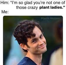 Plants Happen