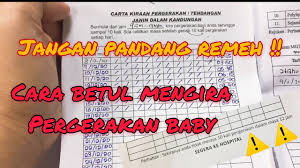 Sekiranya ibu merasakan bayi kurang aktif atau kurang pergerakan seperti kebiasaan. Cara Mengira Pergerakan Bayi Dalam Kandungan Kaedah Merekod Pergerakan Youtube
