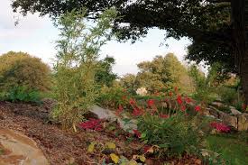 les jardins du loriot visites