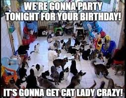 Creative and funny cat quotes. 20 Funny Birthday Wishes For Cat Lovers Funny Birthday Wishes