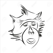 Affe Silhouette In Schwarze Linien Auf Weissem Hintergrund Zeichnen Mit Der Hand Vector Lizenzfrei Nutzbare Vektorgrafiken Clip Arts Illustrationen Image 38761465