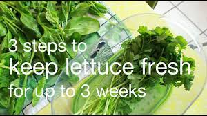 Should you put lettuce in the freezer? How To Keep Lettuce Fresh For 3 Weeks Xoxo Cooks Youtube