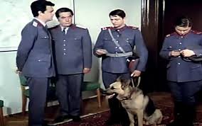 8.7 1971 95 min 435 vizionări. Plutonierul Capsuna Si Cainele Costel Admirati De Politisti Mai Difuzeaza Seria Brigada Diverse Stirileprotv Ro