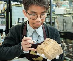 Exploring Hong Kong's past through fossils