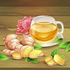 Ginger Turmeric Tea Cup Fresh Raw Sliced Slice Root Brewed Drink Vector Illustration Concept Leaf Flower Wooden Plat Tea Illustration Ginger Tea Graphic Design