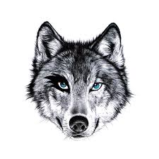 We did not find results for: Confident Blue Eyed Wolf Muzzle Tattoo Design Tattooimages Biz