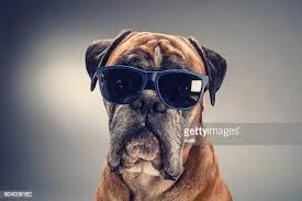 Profile for CHAD KAPLIN SARNIA REAL ESTATE