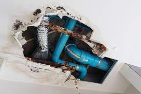 Unbolt the toilet from the floor with an adjustable wrench. Identifying And Dealing With Plumbing Issues Silencing Leaks New England Condominium The Condo Hoa Co Op Monthly