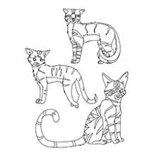 (double click for a cat's page) the list faq for mobile. Top 25 Free Printable Warrior Cats Coloring Pages Online