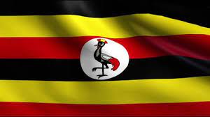 The hex, rgb and cmyk codes are in the table below. The Uganda National Flag And Meaning