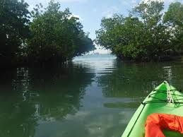 Developers renamed the waterway oleta river in 1922. Oleta River State Park Paddling Miami Fl E Z Map 30 Photos