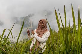Maybe you would like to learn more about one of these? Padang Bunga Ilalang Di Bukit Mongkrang Ternyata Hanya Mekar Sekali Halaman All Kompas Com