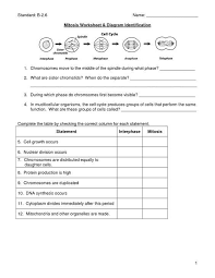 .vocabulary practice, chapter 8 biology vocabulary practice answer key, chapter 8 from dna to proteins, dna and rna vocabulary review answers calendar pridesource, section identifying dna as the genetic material 8 1 study, biology chapter 8 from dna to. Mitosis Worksheets Diagram Identification Answers Biology Worksheet Science Worksheets Cell Cycle