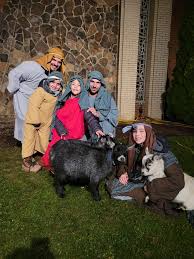 Profil for Goats And Pose