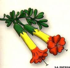 Ademas de deportes, clasificados, obituarios, arte y entretenimiento y economía y finanzas. Simbolos Patrios De Bolivia Periodico La Patria Oruro Bolivia Simbolos Patrios Simbolos Nacionales Simbolos