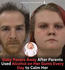 Millions of ants are threatening Germany's buildings and tech. What's being  done? 🐜