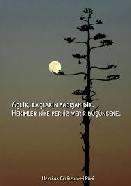 Leyla Unlu Adli Kullanicinin Hz Mevlana Tebrizli Sems Panosundaki Pin Ilham Veren Sozler Alintilar Ilham Verici Sozler
