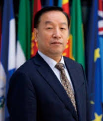 Timber Legality and Sustainability_Global Legal & Sustainable Timber Forum  (GLSTF)