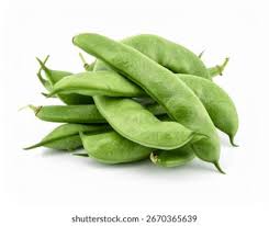 Image result for Dolichos