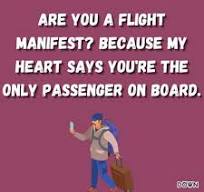 Flying High with Romance: Pilot Pickup Lines for Dating ...