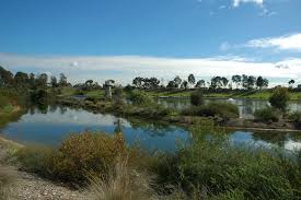 Our hospitals are now able to welcome up to two fully vaccinated visitors per patient per day. Request A Service Health Hygiene Campbelltown City Council
