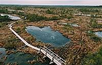 bog wikipedia