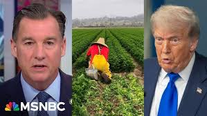 Heritage President Dr. Kevin Roberts Debates Project 2025