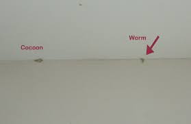 Pin On Home Decor