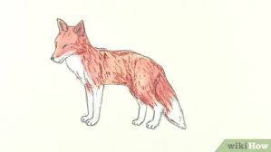 How to draw a fox for kids. 3 Ways To Draw A Fox Wikihow