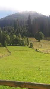 Zona de case de vacanta. Vatra Dornei Terenuri Olx Ro