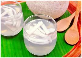 Meski bikinnya simple, tapi rasanya warbiyassaaa, maa syaa allaah. Coconut Jelly Powder Serbuk Jelly Kelapa 225gm Lazada