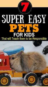 When buying one for your child, ensure they. 7 Low Maintenance Pets For Kids That Teach Responsibility The Frugal Mom Guide Low Maintenance Pets Best Pets For Kids Animals For Kids