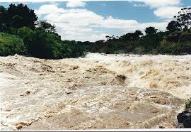 Barwon River Flooding In 1995 Family Origin Geelong Natural Landmarks
