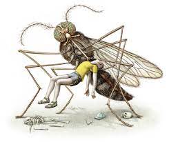 Mosquito dance mixed with chimwemwe. Opinion The Mosquitoes Are Coming For Us The New York Times