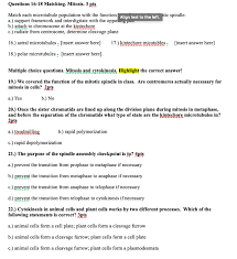 We did not find results for: Solved Questions 16 18 Matching Mitosis 3 Pts Match Eac Chegg Com
