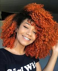 Soins Pour Cheveux De Porosite Eleve Teinture Cheveux Naturelle Coiffure Cheveux Naturels Cheveux