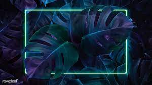 Download Premium Illustration Of Green Neon Lights Frame In A Tropical 2048x1152 Wallpapers Neon Light Wallpaper Neon Wallpaper