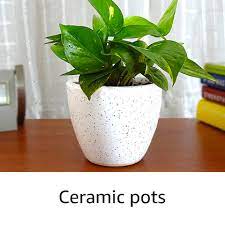 The shipping fee is fixed for an order, regardless of the number of items bought. Plant Containers Buy Plant Containers Online At Best Prices In India Amazon In