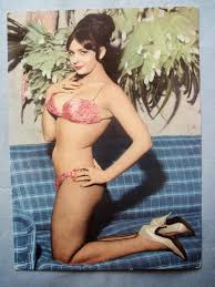 Resultado de imagen para ZULMA FAIAD