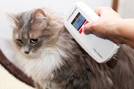 International pet microchip lookup, national online searchable database, search millions of records in just one second. Us Can English Datamars