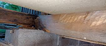 Image result for site:byggahus.se byta syll timmerhus