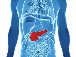 Maybe you would like to learn more about one of these? Can You Live Without A Pancreas