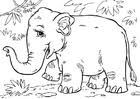 Referat elefant bilderzum ausmalen ausmalbilder elefant. 27 Malvorlagen Von Elefant Kostenlose Ausmalbilder Zum Ausdrucken