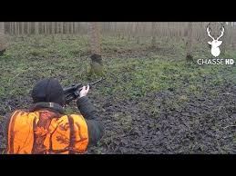 Chasse au sanglier / battue au sanglier. Chasse Aux Sangliers En Battue Le Tir De L Annee Chasse Hd Youtube