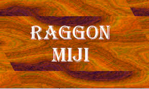 We did not find results for: Raggon Miji 11 15 2g Novels