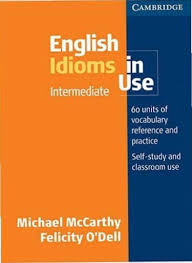 English Grammar In Use Supplementary Exercises With Answers Free Download Idioms In Use English Idioms Cambridge English Idioms