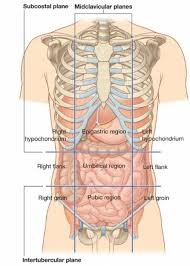 Pin On Weapon And War Anatomy