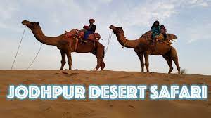 Tour my india offers best deals on india camel safari holiday packages. Osian Camel Safari Village Homestay Review By The Flip Flop Travelling Family Youtube